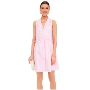Tuckernuck Light Pink Collared Oxford Shirt Dress